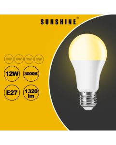 SUNSHINE - LGT-12E27W(SET) LED 12W大黃(套)(2in1) E27黃光