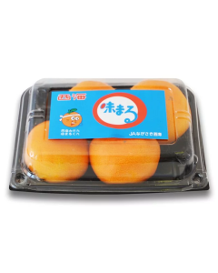 日本長崎西海蜜柑 (1盒)