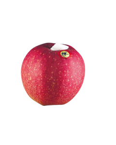 日本世界一蘋果 (1個)