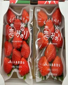 (折實價)日本長崎戀實士多啤梨 (1盒)