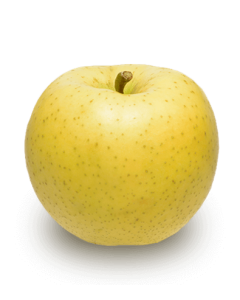 日本信濃金蘋果 (1個)