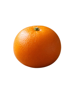 日本長崎西海蜜柑 (1個)