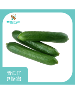 青瓜仔 (3條裝)