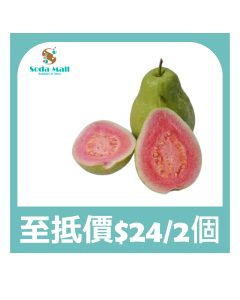 台灣紅心芭樂 (1個)