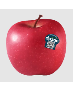DAZZLE蘋果(家庭裝)