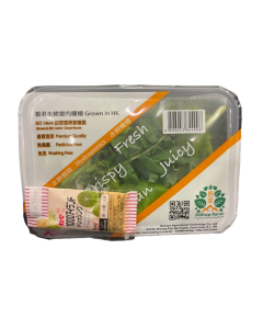 野菜山 Hilltop Farm – 香港水耕 沙律菜(密封盒裝) 70g  (附送日本入口沙律醬) 