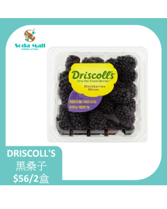 DRISCOLL'S 黑桑子 125G