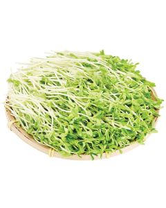 翡翠苗 200G (1盒)