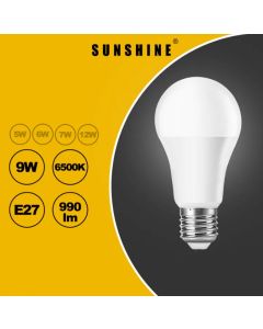 SUNSHINE - LGT-9E27D-D2 LED球燈 9W (2in1) E27 白光