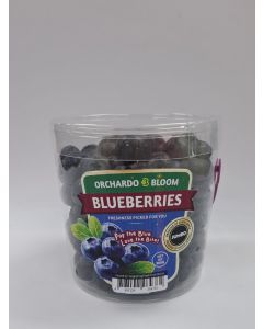 南非桶庄藍莓500G