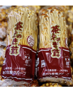 日本長野茶色金針菇 (包)