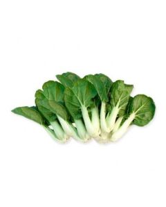 白菜仔 (包)