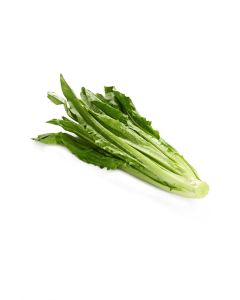 油麥菜苗 (包)