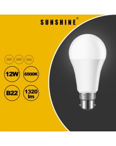 SUNSHINE - LGT-12B22D(SET)  LED 12W釘白(套)(2in1) B22白光
