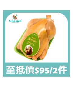 Urgasa - 急凍西班牙走地黃油春雞 約500克