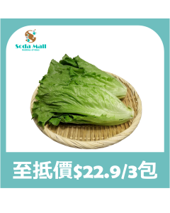 唐生菜 500g (1包)