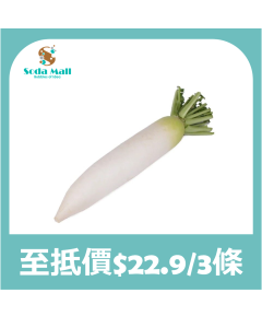 白蘿蔔 (1條) 800G