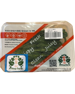 野菜山 Hilltop Farm – 香港水耕 菠菜 60g