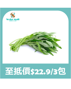 青通菜 300G (1包)
