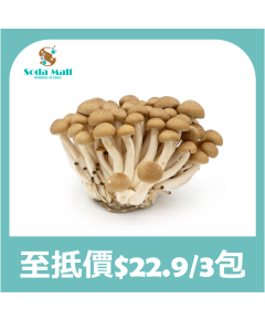 靈芝菇 (本菇) 200G (1包)