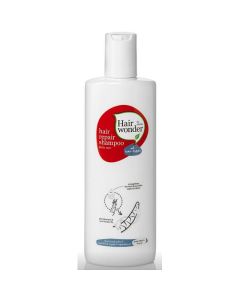 麗盈修護洗髮液300ML